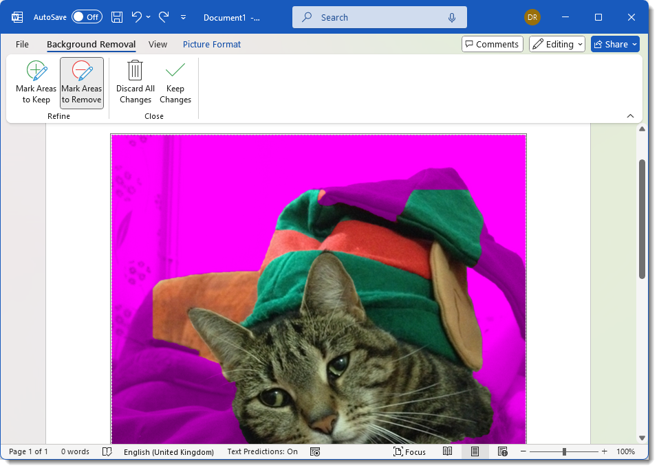 background_removal_word